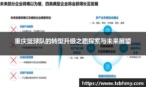 重庆篮球队的转型升级之路探索与未来展望